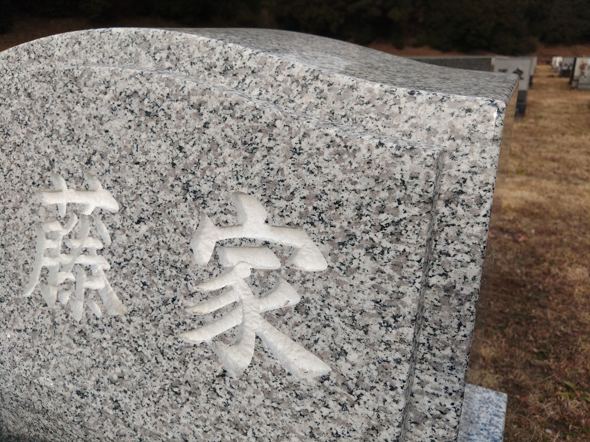 阿曽石材洋型墓施工例　都立八王子霊園　