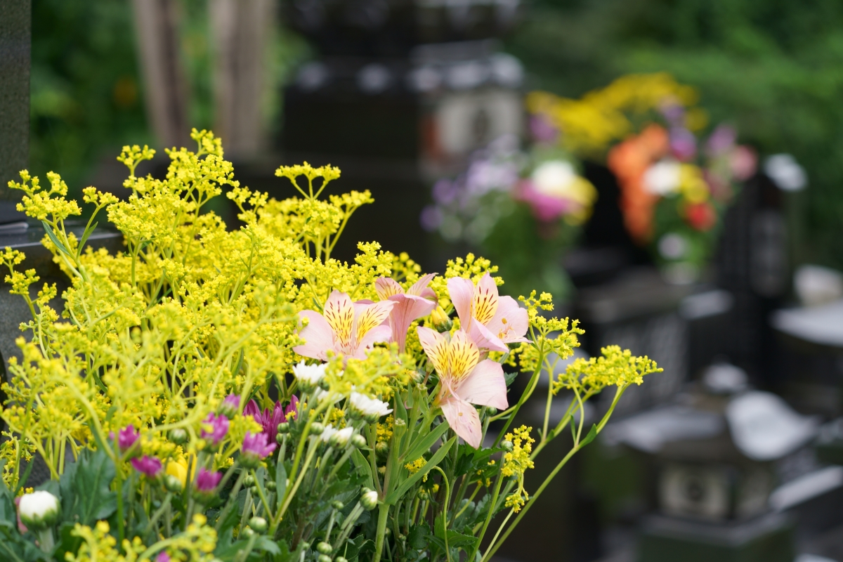 【2026年最新】東京でお墓を購入する全手順｜都立霊園3月発表・墓じまい・ペット供養のポイント