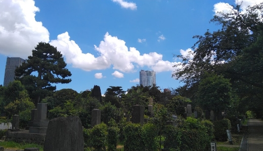 都立青山霊園　全景