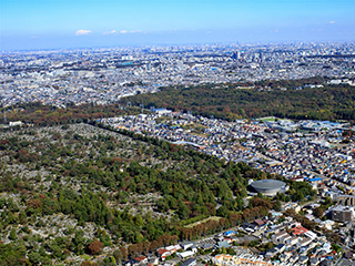 公営・都立霊園について